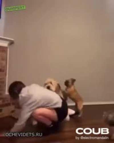 Well that escalated quickly