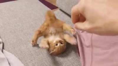 Defense position: derp