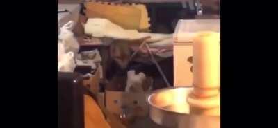 Rare footage of me driving while listening to music.