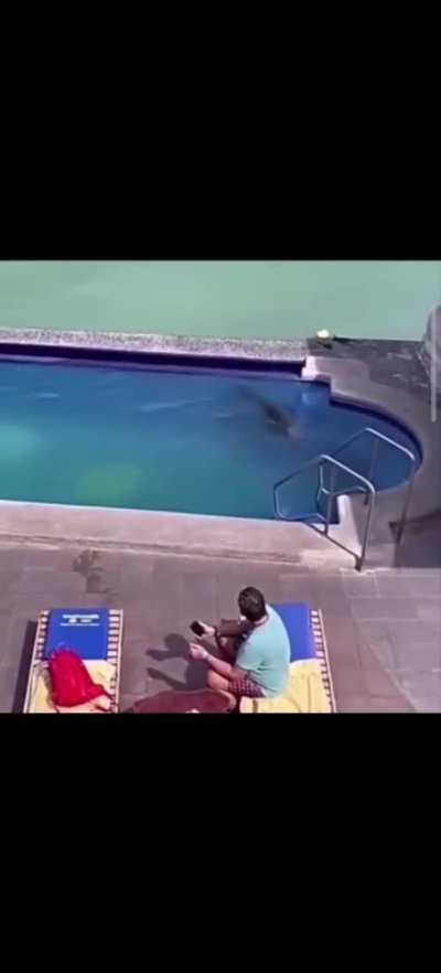 A normal day at pool