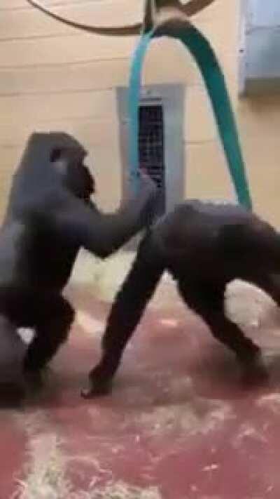 Wind me up John, wind me up!