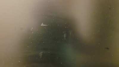 Is my monitor cooked