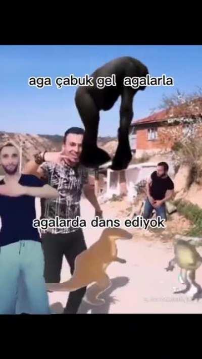 ağalarla dans