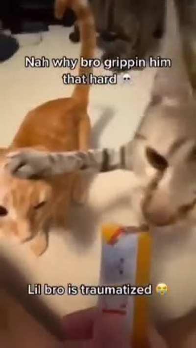 Little jerk wants ALL the treats