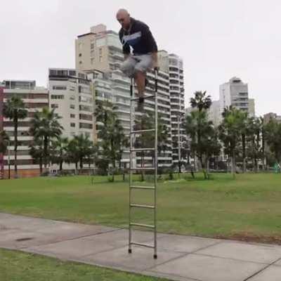 Amazing guy climbing a ladder so effortless!