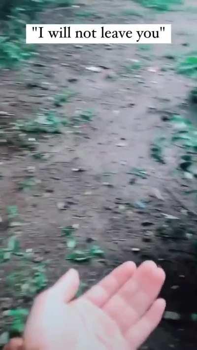 To get the bird to leave