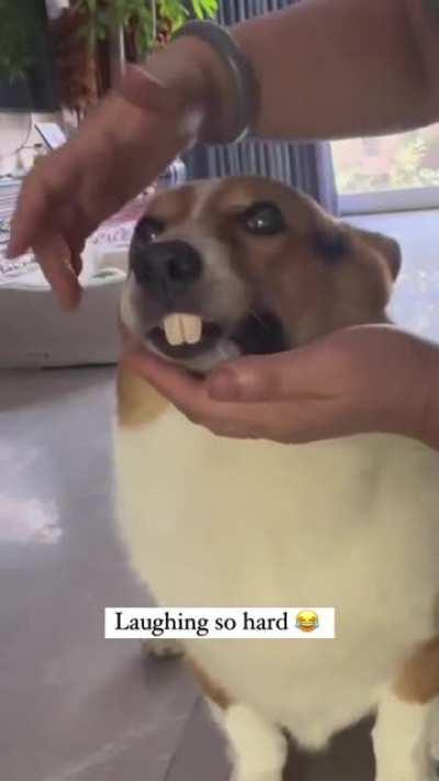 I could see myself doing this everyday