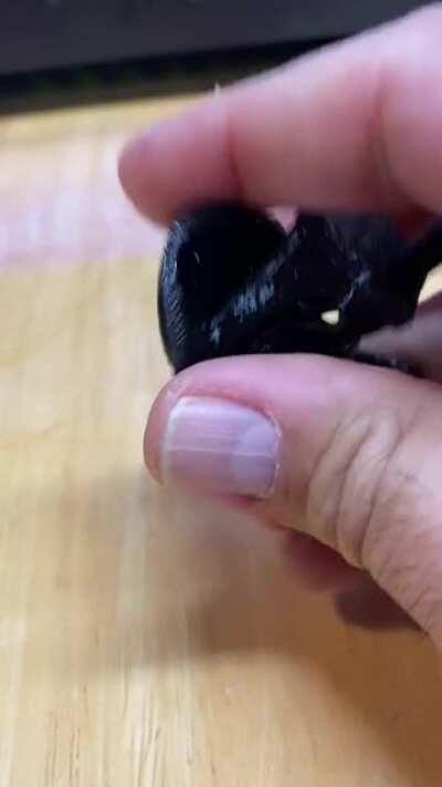 Not your usual Benchy!