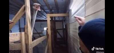 This one cut deeper than 14 year olds