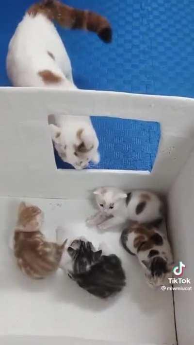 I was also the least liked offspring