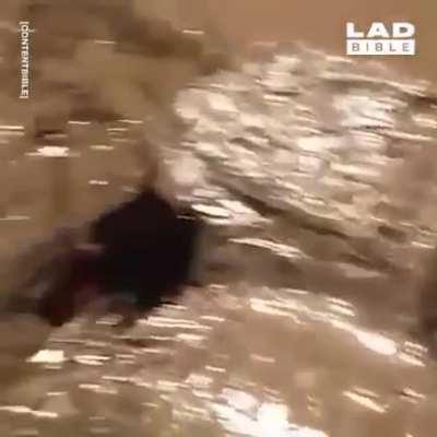 When you get home after a long day to find out your mate has tin foiled your room .