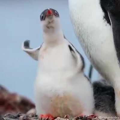 He’s so unimaginably cute.