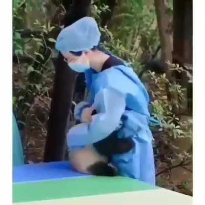 A warm hug for baby panda