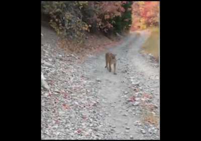 Matto has a nightmare