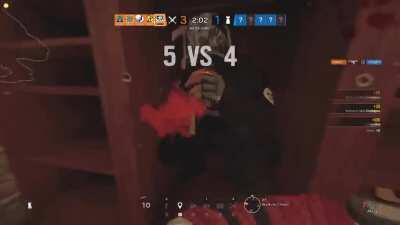 Rook hiding in the closet...and how am I alive