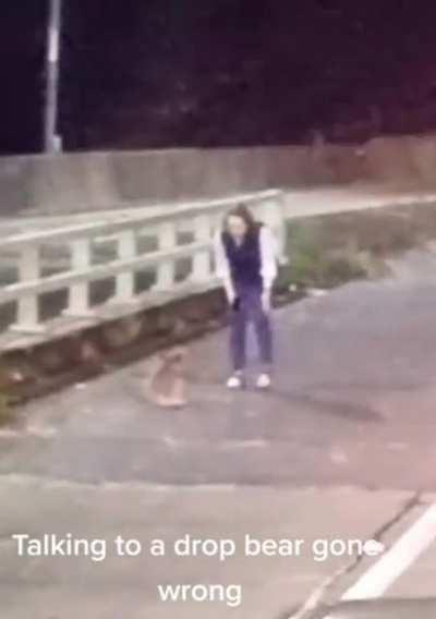 WCGW talking to a Koala