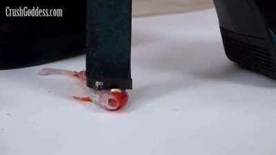 Marina has an impressive body.
Especially the legs are beautiful and powerful.
She wears high heels and gets rid of her pet goldfish.
Marina first crushes the goldfish's head with her high heels.
Then, step on the goldfish's body to make it crumble.
She i