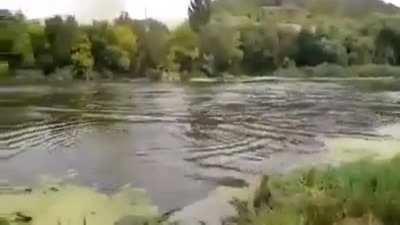 Peaceful day fishing