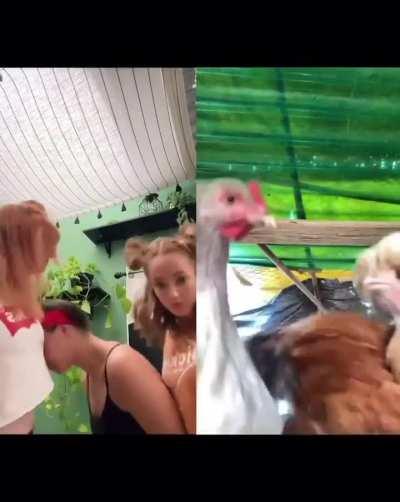 Just somegals being actual chicks… Christmas edition!