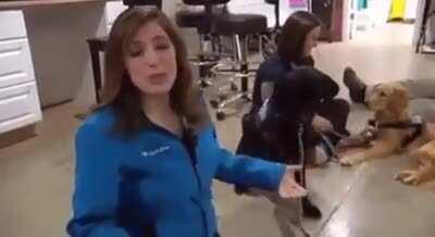 to get an high five.