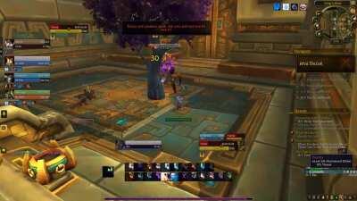 level 10 player with a weird tree pet one-shotting the entire instance