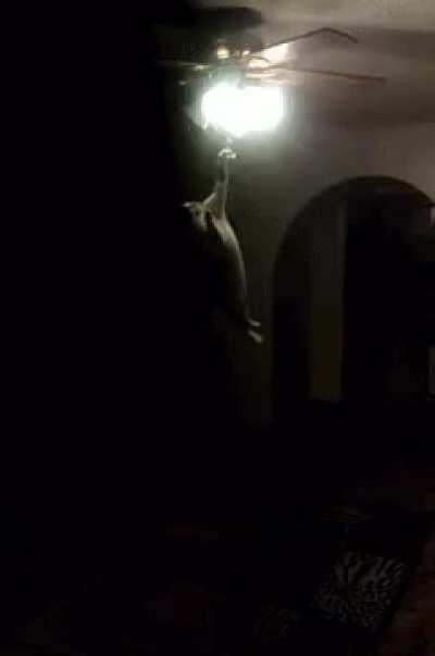 Its too bright in here!