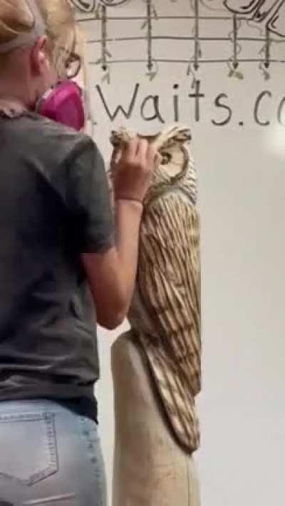 Girl Does Something With Wood