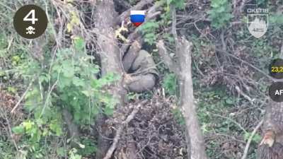 The work of the Skelya (formerly Skala) regiment's FPV pilots results in the elimination of 8 Russian soldiers (Published 30/09/25)