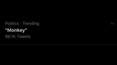 Not to get political or anything but monke😳