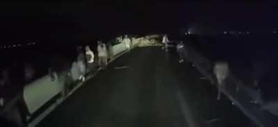 Driving at night in an western european country...