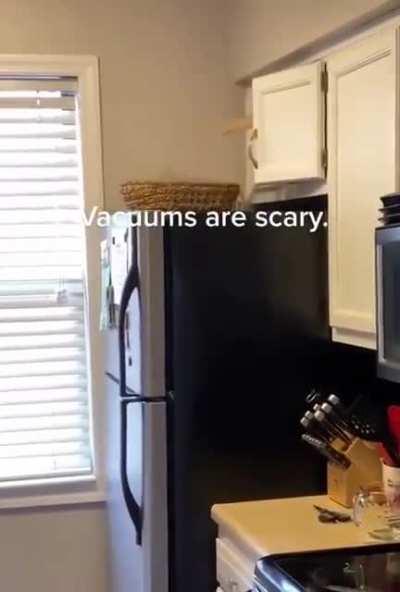 I am having to flee from a scary machine in my own home. This is humiliating; How can I make it stop forever?