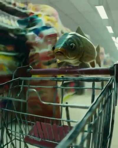 I think I'll get some pilchards