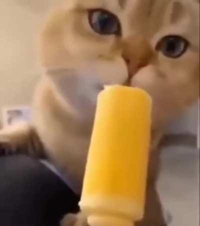 Vine boom sound effects