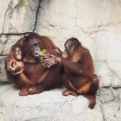 Get outta here. Nothing more for you.