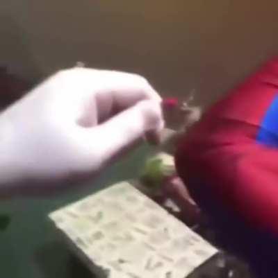 Well, that's him stuck as Spider-Man forever