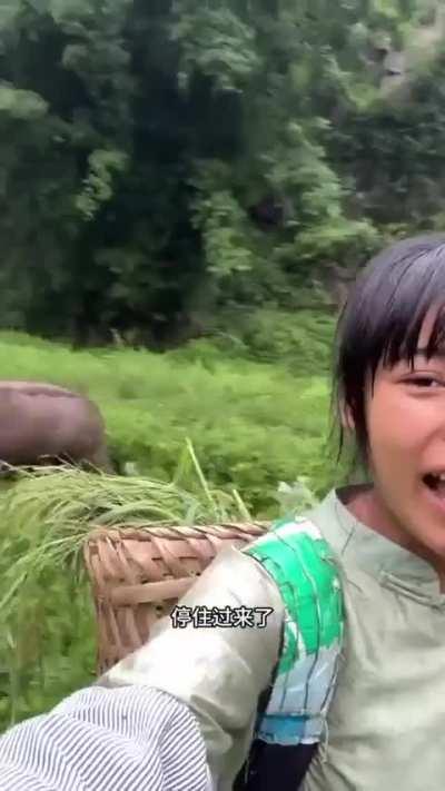 Girl And Her Water Buffalo Buddy