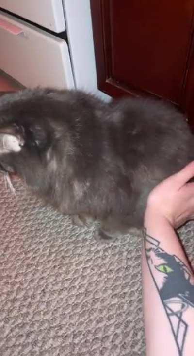 it’s a no from Big