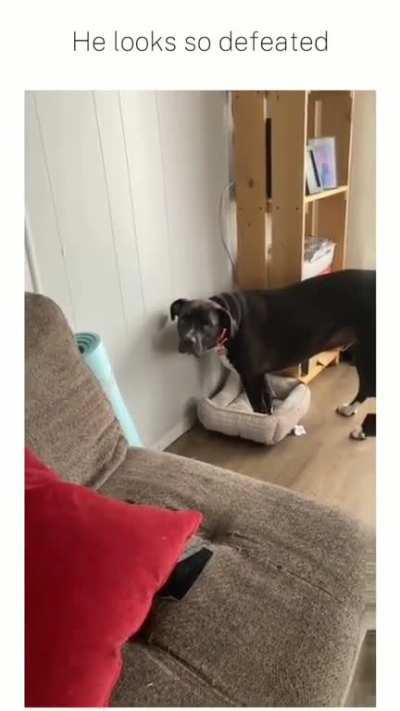 his eyes said it all