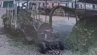 guy accidentally falls into shredder