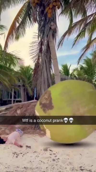 Drake the type do this on vacation