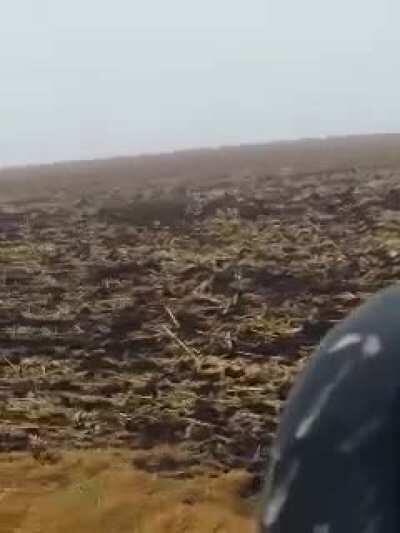 Deer fails a jump and snaps its neck