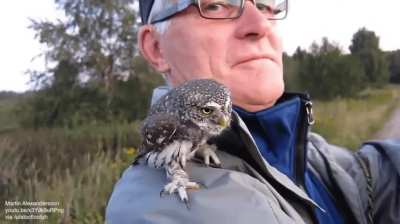 🔥 Git! I hunt alone, hooman. 🔥