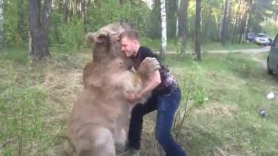 Just a normal guy playing with a bear