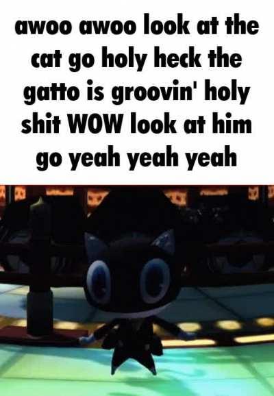 Saturday Night Feline