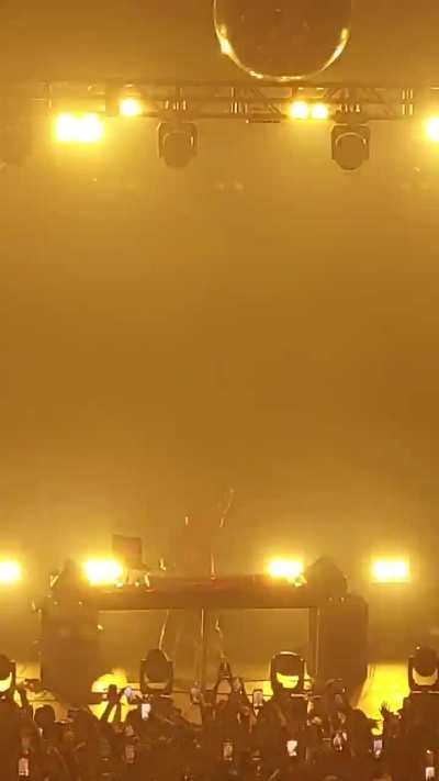 Saw Pauly D's set yesterday