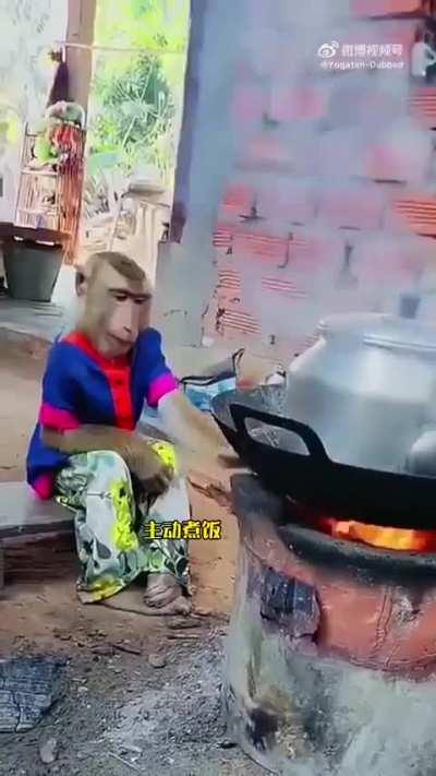 🐒🙈🐵🙉🙊 heil spez