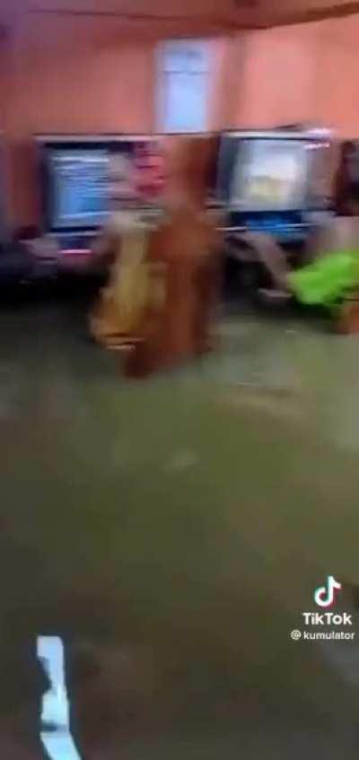 connor during the tour like: