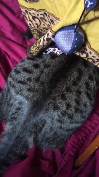 Butt touch activated