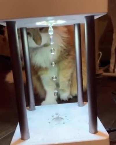 Catculating...unable to.process