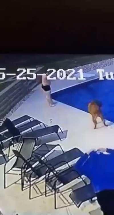 Fell in my friends pool trying to stay away from his 180 lb dog. [Fractured Pelvis]